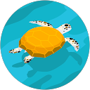 Kimmo Hartikainen profile picture